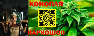 mdpv Ачхой-Мартан