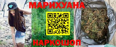mdpv Ачхой-Мартан