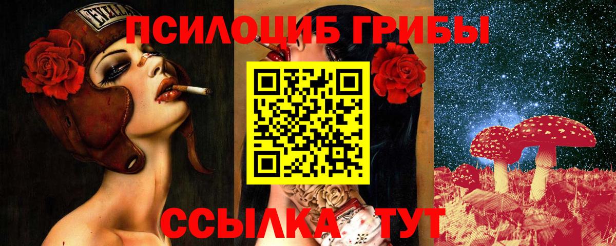 Псилоцибиновые грибы MAGIC MUSHROOMS  купить  сайты  Котельники  Вход с VPN 